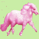 Odd Pony logo